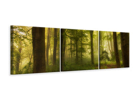panoramic-3-piece-canvas-print-the-little-tree