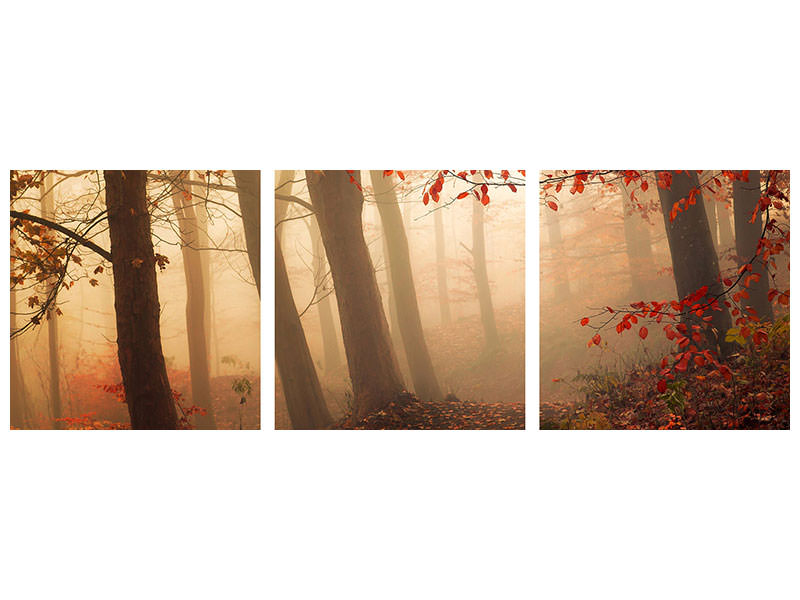 panoramic-3-piece-canvas-print-towards-the-light