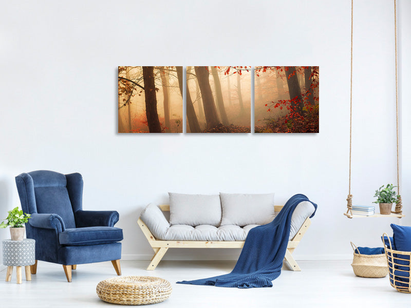 panoramic-3-piece-canvas-print-towards-the-light