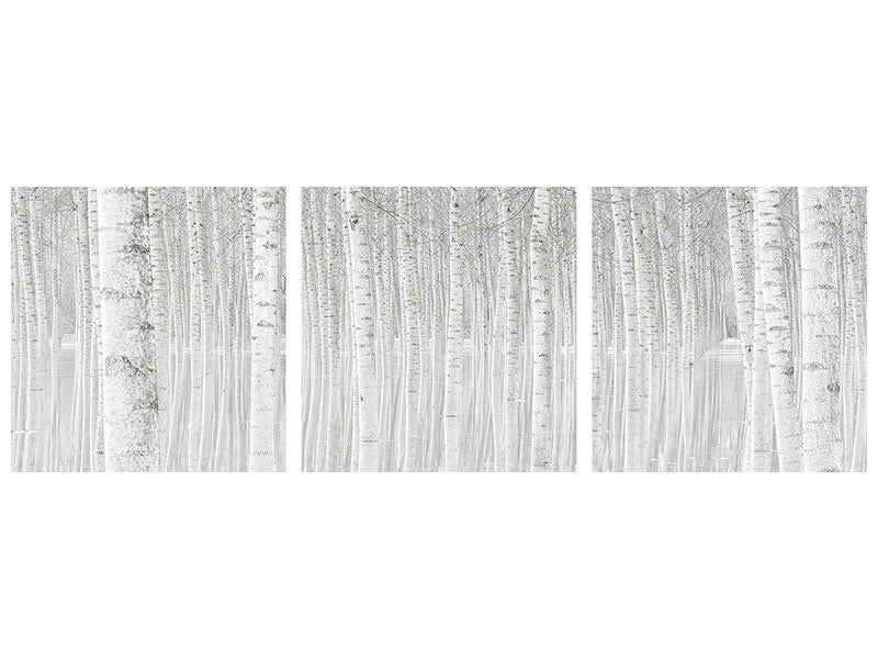 panoramic-3-piece-canvas-print-trees
