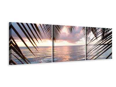 panoramic-3-piece-canvas-print-under-palm-leaves