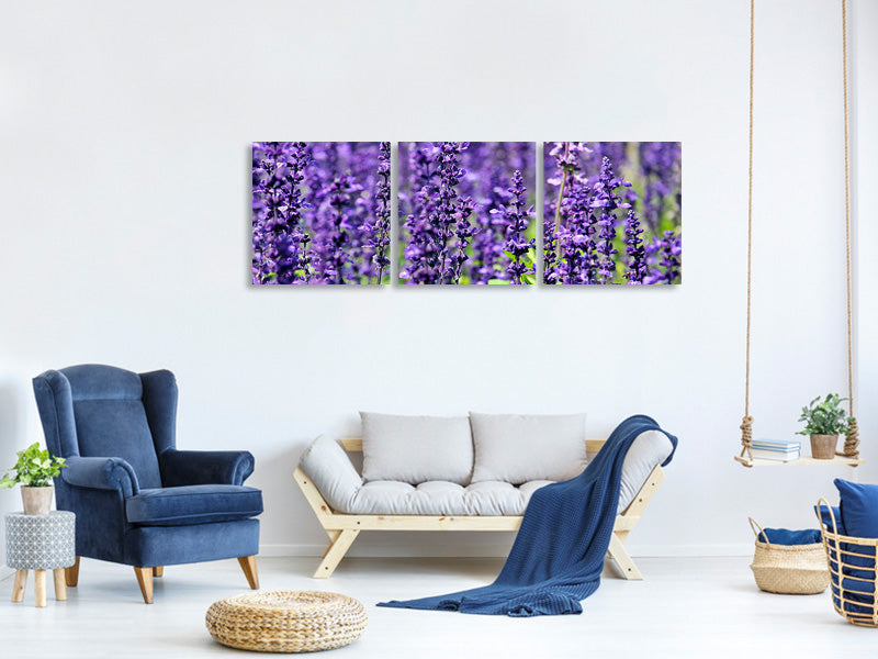 panoramic-3-piece-canvas-print-xl-lavender