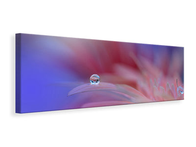 panoramic-canvas-print-colorful-explosion