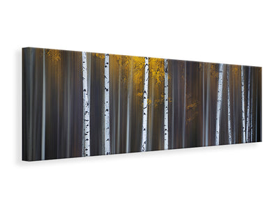 panoramic-canvas-print-curtain-of-fall