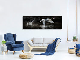 panoramic-canvas-print-flying-swan