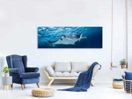 panoramic-canvas-print-manta-ray