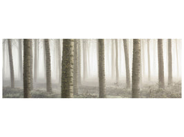 panoramic-canvas-print-small-woodland