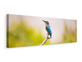 panoramic-canvas-print-the-kingfisher