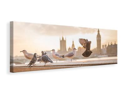 panoramic-canvas-print-the-pigeons-on-the-roof