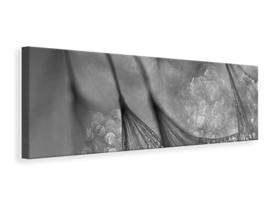 panoramic-canvas-print-untitled-xix