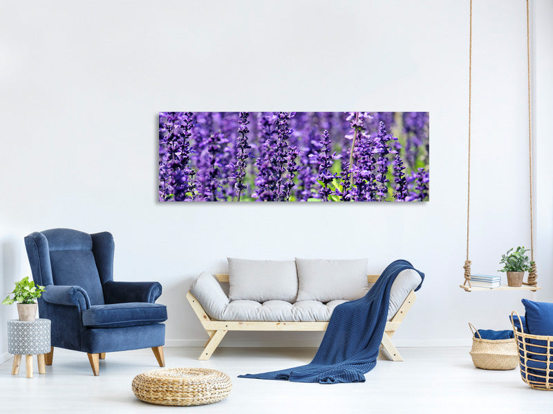 panoramic-canvas-print-xl-lavender